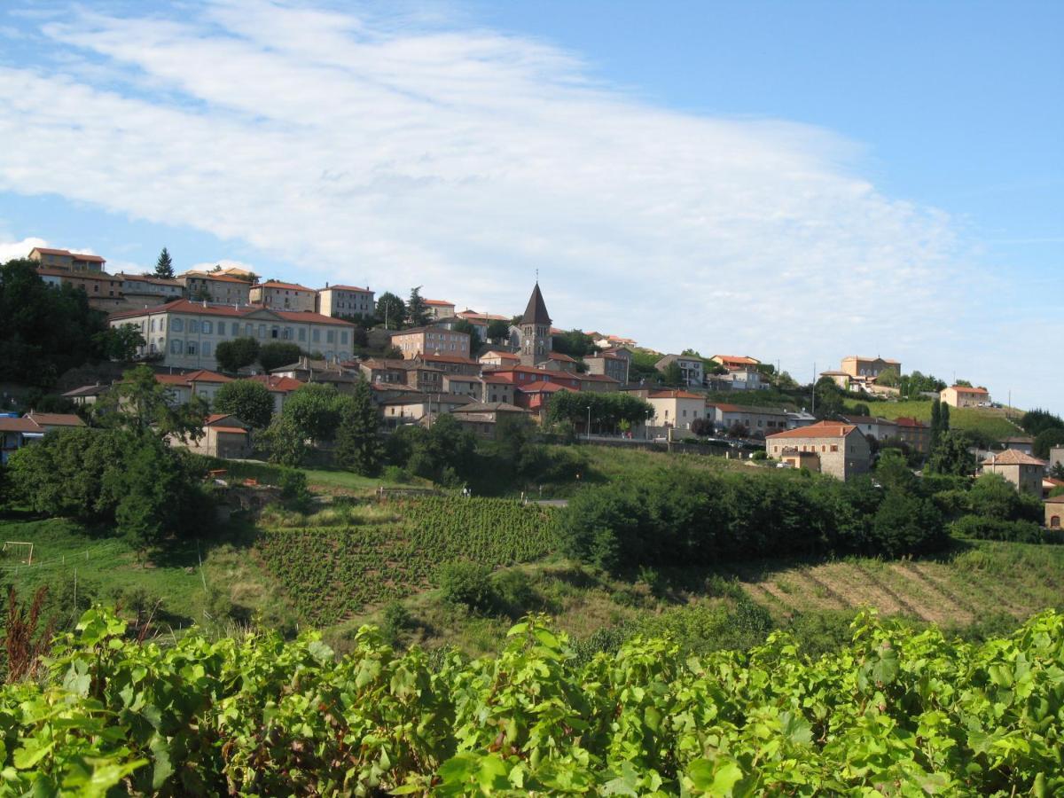 Domaine Des Gardette Hotel Vaux-en-Beaujolais Ngoại thất bức ảnh
